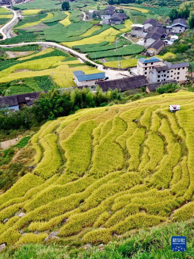 10博平台怎么样